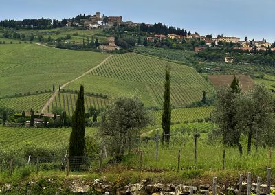 Tuscan Countryside near Pienza, Italy