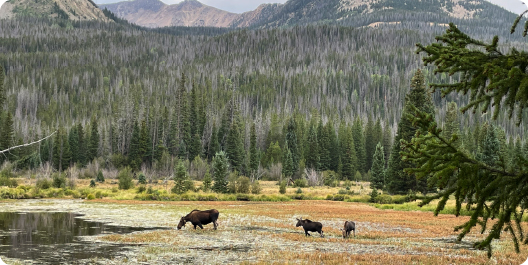 Tips from a National Park Lover